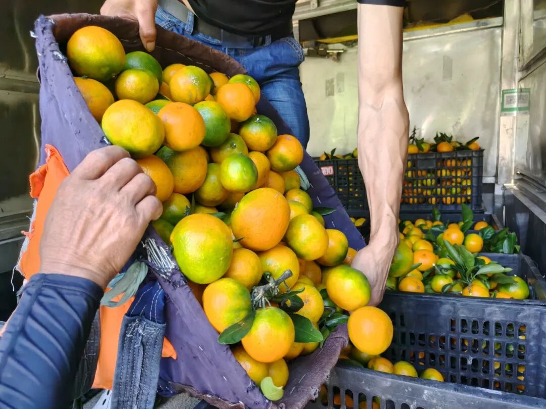 e277213a7d91ed69d725b2f6081b69f7.jpg e277213a7d91ed69d725b2f6081b69f7.jpg