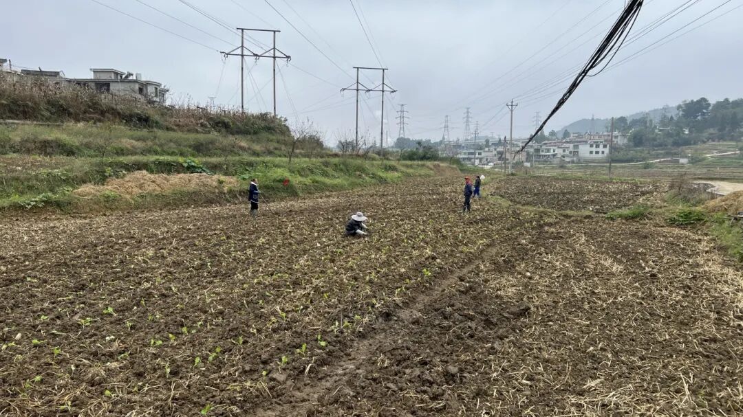 d85d01c8b6e0230dc08a7d56950c9ba3.jpg d85d01c8b6e0230dc08a7d56950c9ba3.jpg