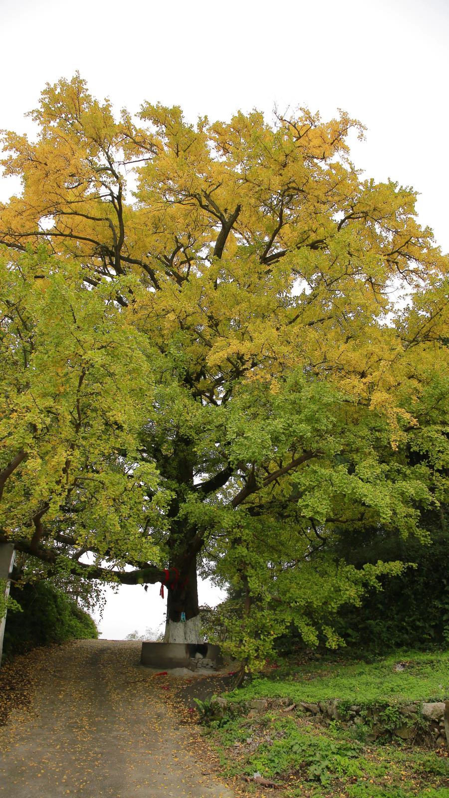 9a3c07f16d46f57dc8f9f8987e010973.jpg 9a3c07f16d46f57dc8f9f8987e010973.jpg