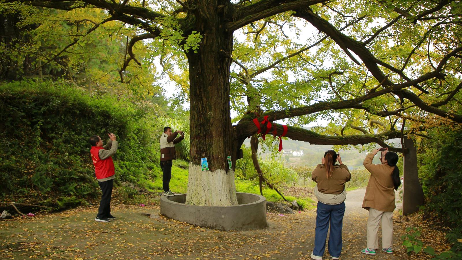 399c2c82b06f8b60817b1512124d511e.jpg 399c2c82b06f8b60817b1512124d511e.jpg