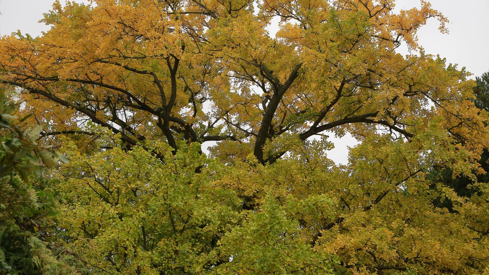 b69f51f5163e63d1959442819efe55d6.jpg b69f51f5163e63d1959442819efe55d6.jpg