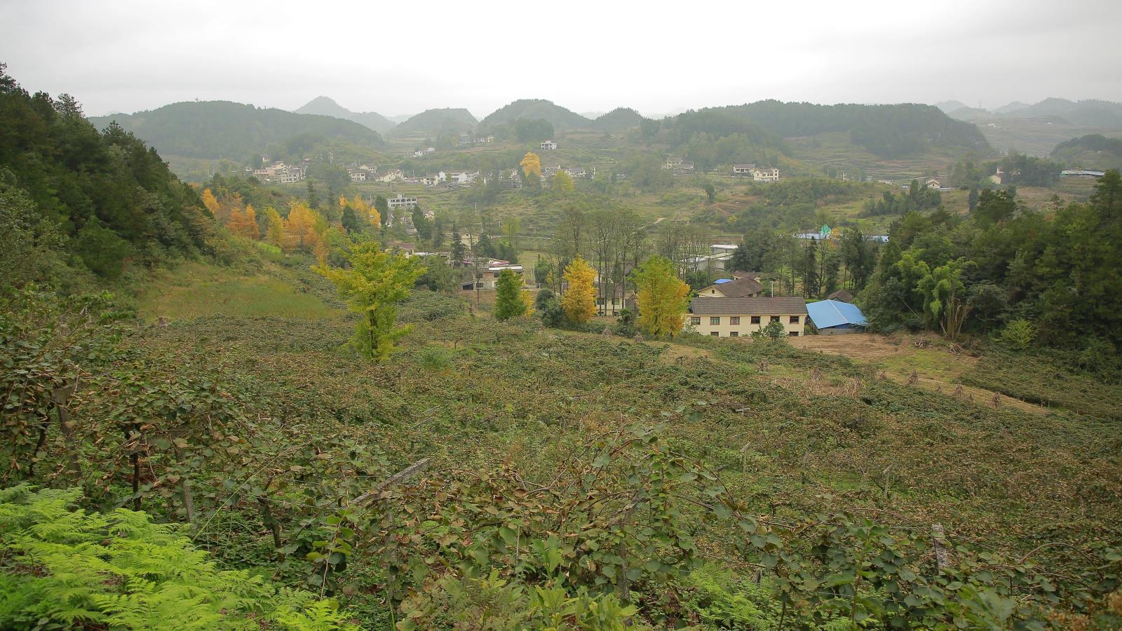 26452e8fdfca51c3f5cd76e189aaf70f.jpg 26452e8fdfca51c3f5cd76e189aaf70f.jpg