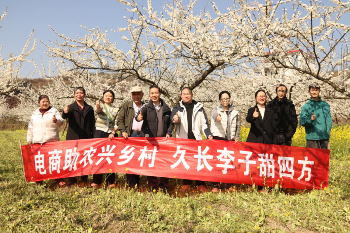 電商助農(nóng)興鄉(xiāng)村，久長(zhǎng)李子甜四方